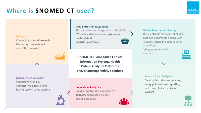 圖一、SNOMED CT 在臨床、研究與分析的多重應用